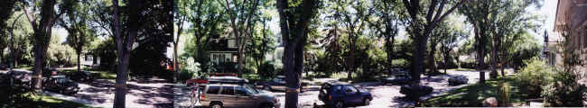 neighbourhood summer wide.jpg (385259 bytes)