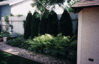 wpe02800.gif (352164 bytes)