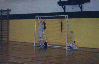 wpe59591.gif (338070 bytes)