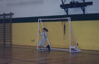 wpe43877.gif (315932 bytes)