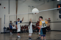 wpe80140.gif (336836 bytes)