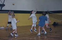 wpe08722.gif (321193 bytes)