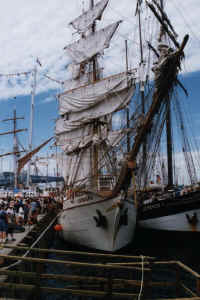 sail boat.jpg (85426 bytes)