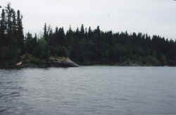 lake - river just around bend.jpg (53709 bytes)