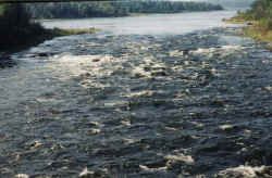 rapids sans raft 1.jpg (104604 bytes)