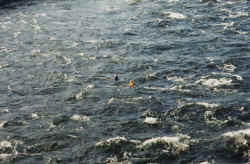 rapids sans raft 2.jpg (114191 bytes)