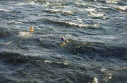 rapids sans raft 3.jpg (107329 bytes)
