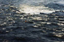 rapids sans raft 4.jpg (104836 bytes)