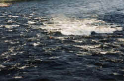 rapids sans raft 5.jpg (103288 bytes)