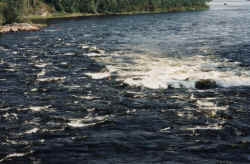rapids sans raft 6.jpg (103377 bytes)