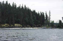 river looking up towards rapids 2.jpg (71314 bytes)