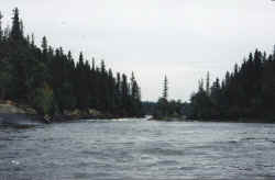 river looking up towards rapids.jpg (57817 bytes)