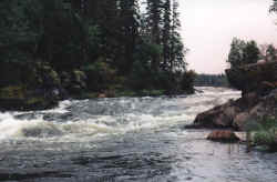 river rapids left close up.jpg (84955 bytes)