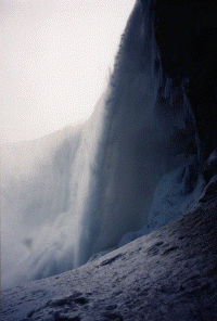 wpe43456.gif (334295 bytes)