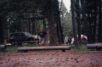 wpe31748.gif (346879 bytes)