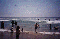 wpe49080.gif (288461 bytes)