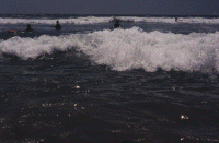 wpe71441.gif (286425 bytes)