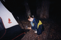 wpe15290.gif (205356 bytes)