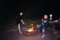 wpe52786.gif (226856 bytes)