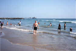 venice beach.jpg (109722 bytes)