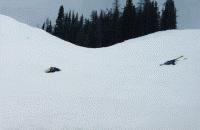 wpe21265.gif (268444 bytes)