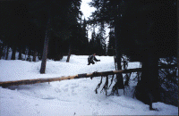 wpe40191.gif (303478 bytes)