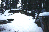 wpe20618.gif (322742 bytes)