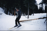 wpe00107.gif (276705 bytes)