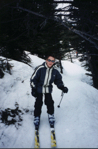 wpe77087.gif (262979 bytes)