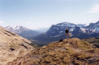 wpe48077.gif (320483 bytes)