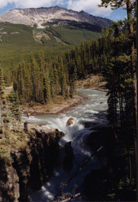 wpe61660.gif (343027 bytes)