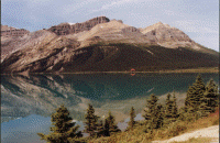 wpe72268.gif (329507 bytes)