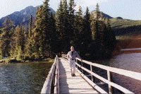 wpe77374.gif (359822 bytes)