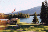 wpe96029.gif (264590 bytes)